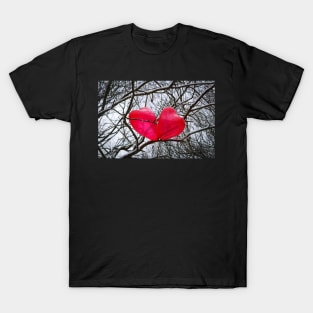 Two Little Hearts, Kissing In A Tree T-Shirt